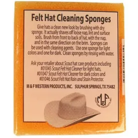 Felt Hat Sponge